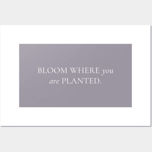 Bloom Where You Are Planted Posters and Art